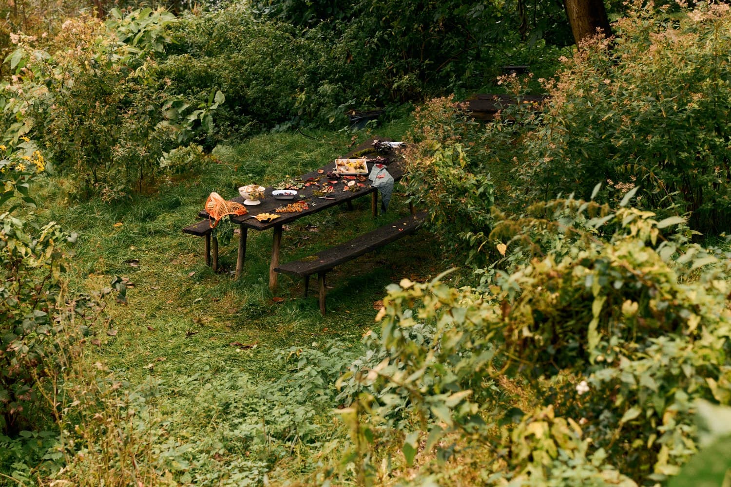 Image of ๐ฟ Nutri Meal Plan Image of ๐ฟ Nutri Meal Plan